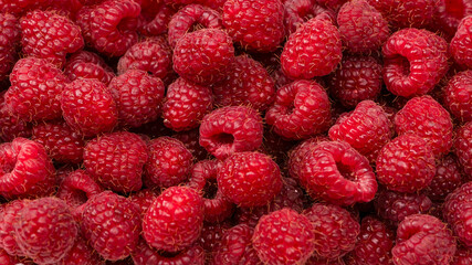 Tasty fresh raspberry as a background.
