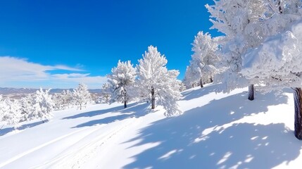 Obraz premium Winter landscape with ice and snow covered abetos. You can see snow on the hills in this picture.