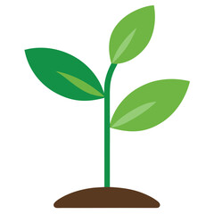Vector Illustration of Young Plants on a White Background 