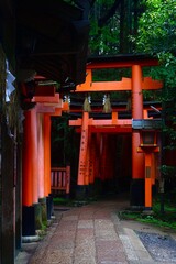 Red Torii Gates