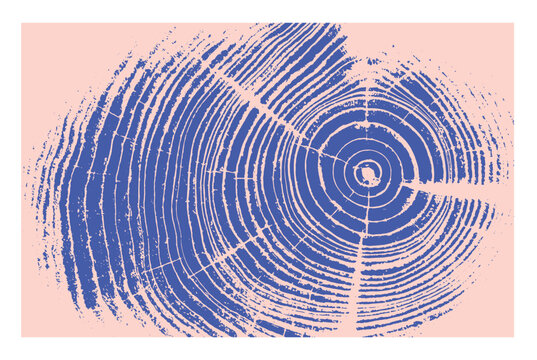 Decorative wood block prints of growth rings. Monotone pink and blue botanical tree rings and impression print.