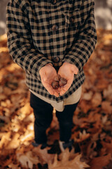 Close-up photo of children's hands with maple leaves and chestnuts in the forest in autumn