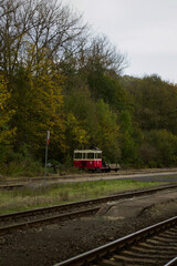 Obraz premium Vintage Tram Amidst Autumn Woods