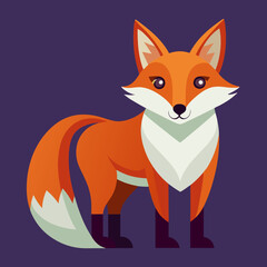 Obraz premium red fox with a smile