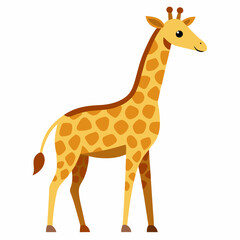 Obraz premium giraffe isolated on white