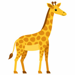 Obraz premium giraffe isolated on white background