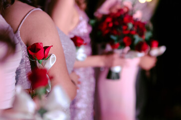 Elegant group of bridesmaids in pink dresses holding red rose bouquets