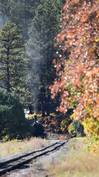 Steam Train Coming Around The Corner In Durango Colorado During Fall