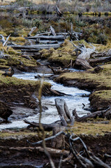 Patagonia rivers