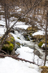 Patagonia rivers
