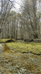 Patagonia river