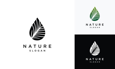 water drop leaf logo vector template .water drop logo icon with leaf