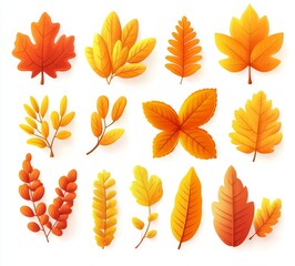 Obraz premium Autumn beech tree leaves isolated on white background, bright and sharp, high quality