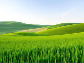 Fototapeta premium Lush green hills under a clear blue sky with gentle slopes and vibrant grass in a serene rural landscape