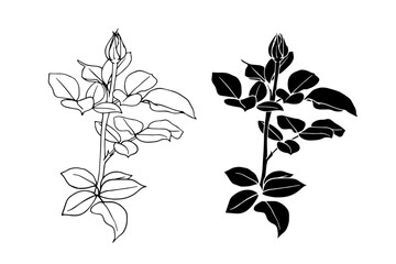 Fototapeta premium Botanical sketch, silhouette, stamp of flowers and rose buds. Vector graphics.
