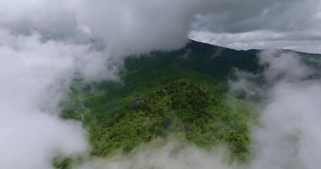 Summer forest on Appalachian mountain hills in North Carolina. Summertime landscape of beautiful nature in rainy humid weather