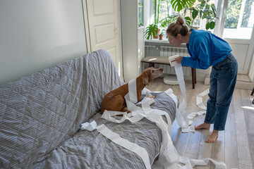 Surprised woman interacting with guilty-looking Vizsla dog unraveling toilet paper all over home....
