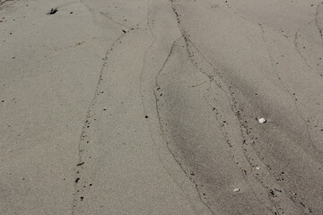 Waves draw the lines on the sand