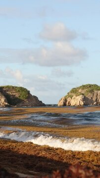 A serene coastal landscape features rocky cliffs and a calm sea with gentle waves, covered in sargasso, under a partly cloudy sky at Yabucoa, Puerto Rico.