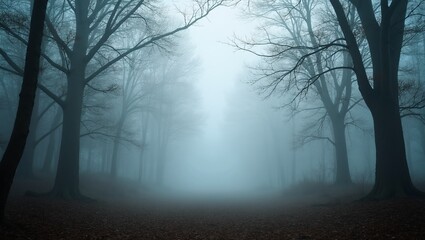 Obraz premium Misty forest clearing with surrounding trees and soft fog
