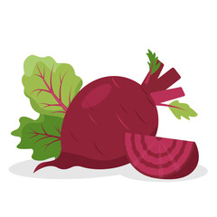 Beets root vegetables. Whole Beet with tops leaves and piece. Farm beet root plants. Organic garden vegetarian food. Vector illustration isolated on white background.