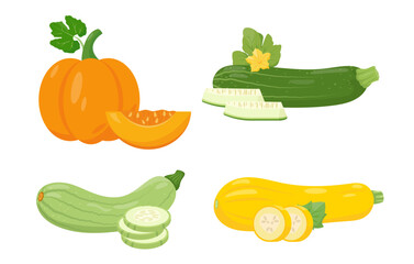 Set of Zucchini and Pumpkin icons. Farm autumn vegetables. Pumpkin and zucchini with pieces. Organic garden vegetarian food. Vector illustration isolated on white background.