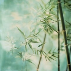 Obraz premium Delicate green bamboo leaves gently swaying under soft natural light in a serene outdoor setting