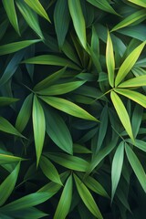 Lush green bamboo leaves creating a vibrant natural backdrop under soft daylight