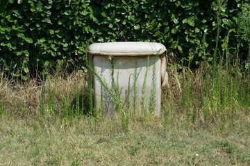 Fototapeta premium abandoned armchair with grass and green