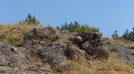 Rhodopes, are a mountain range in Southeastern Europe. Bulgaria. Panorama. The forest area covers the mountains.