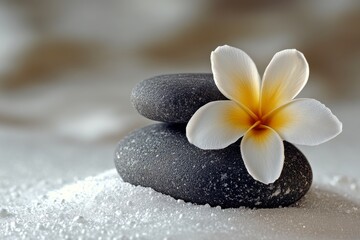 Fototapeta premium Serene arrangement of stones with blooming flowers on a tranquil sandy surface