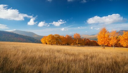 Fototapeta premium beautiful autumn nature background colorful autumnal landscape with yellow orange foliage forest dry grass and blue sky fall time concept