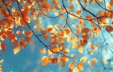 Golden autumn leaves illuminated by sunlight against a blue sky in a tranquil setting