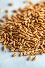 Obraz premium Close up view of raw grain seeds on a white surface in natural light showcasing their texture
