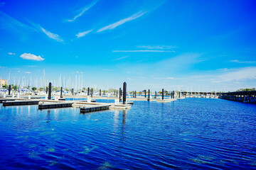 Fototapeta premium St petersburg, Florida, USA - 10 26 2024: The landscape of St petersburg downtown, harbor and pier: