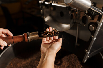 Handful of fried coffee grains. Roasted coffee beans in roasting machine in the production. High quality coffee beans manufacturing.