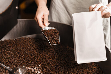 Filling coffee grains in a craft bag. Packing fried coffee beans. Worker pouring roasted coffee...