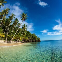 Tropical beach with palm trees and turquoise water