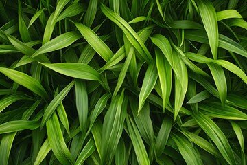 Naklejka premium A dense arrangement of vibrant green leaves creating a lush, natural texture.