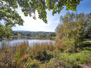Autumn Landscape of Pancharevo lake,  Bulgaria