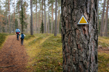 A close-up of a yellow triangle trail marker attached to a tree trunk in a forest. In the...
