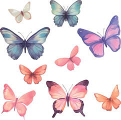 Obraz premium collection of butterflies