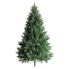 christmas tree isolated on white