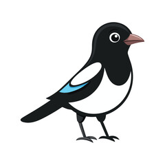 cute magpie white background