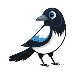 cute magpie white background