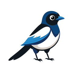 cute magpie white background