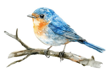Fototapeta premium A vibrant bluebird perched on a twig, showcasing beautiful watercolor textures against a white background.