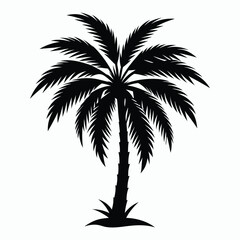 date palm tree vector