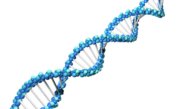 3d model of DNA. Biology