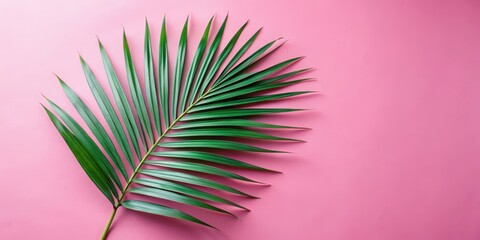 Fototapeta premium A single palm leaf sits elegantly against a vibrant pink backdrop, creating a minimalist yet striking composition.
